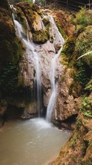 waterfall in forest