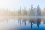 Fototapeta Las - Misty lake and forest reflection, Dalarna, Sweden