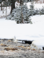 Wall Mural - water in the river. winter