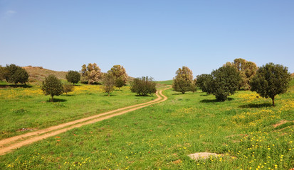 Poster -  The rural footpath crosses a meadow