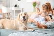 © Pixel-Shot - Dog with family in bedroom at home