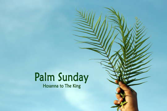 Wall Mural -  - Christian inspirational quote - Palm Sunday. Hosanna to The King. With background of palm leaf in hand against bright blue sky.