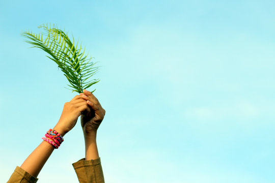 Wall Mural -  - Leaf in hand. Young woman holding fern or palm leaves in hand on bright blue sky background. Palm Sunday concept with copy space.