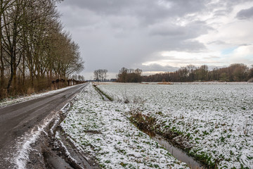 Wall Mural - Dutch polder road in the winter season