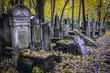 Headstones on the Jewish Cemetery located at Okopowa Street in Wola district of Warsaw, Poland
