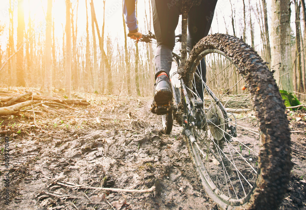 The cyclist is riding on mountain bike on dirt trail in forest in the early spring - obrazy, fototapety, plakaty 
