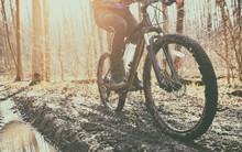 The Cyclist Is Riding On Mountain Bike On Dirt Trail In Forest In The Early Spring
