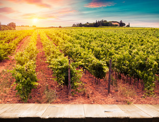 Red wine with barrel on vineyard in green Tuscany, Italy