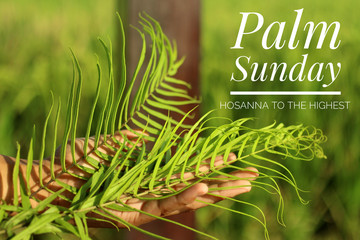 palm sunday concept with christian inspiration quote - hosanna to the highest. with young woman hand