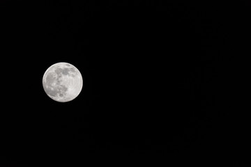 Wall Mural - Closeup of a Full Moon in a Black Sky