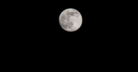 Wall Mural - Closeup of a Full Moon in a Black Sky