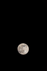 Wall Mural - Closeup of a Full Moon in a Black Sky