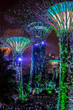 Colorful night Gardens by the Bay in Singapore