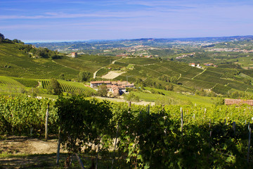 Countryside of Barolo, famous wine production city of Langhe, Piedmont, Italy