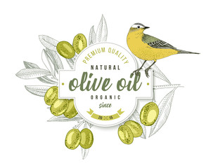 Wall Mural - Olive oil label design with Yellow Wagtail over hand drawn olive branch