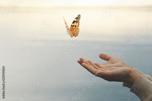 Cuadros en Lienzo butterfly flies free from a woman's hand