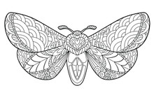Butterfly Coloring Page For Children And Adults. Beautiful Drawings With Patterns And Small Details. Hand Drawing Vector Illustration In Black Outline On A White Background