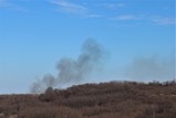 Fototapeta Sawanna - Gray smoke spreads over the field.