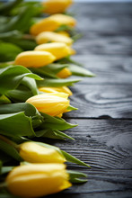 Composition Of Fresh Yellow Tulips Placed In Row On Black Rustic Wooden Table