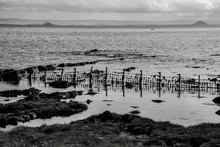  A Garden Fence In The Sea In Black And White