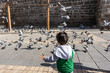 Child and birds