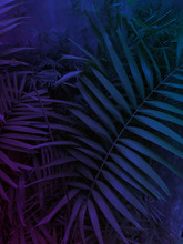 Techno Colors Floral Tropical Party Background, Dark Blue Purple Exotic Leaves, Vertical