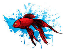 Red Drum, Redfish. Vector Illustration With Refined Details