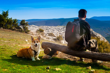 Tourist sitting on a bench and looking at the mountains with his dog - funny Welsh Corgy