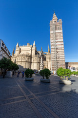 Wall Mural - Santa Maria de la Sede, the famous Cathedral in Seville, Andalucia, Spain.