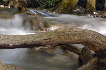 stream in forest