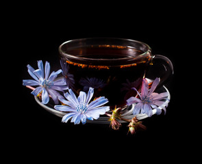 Diet drink chicory in a cup. Coffee substitutes with Cichorium intybus flower on a black background.