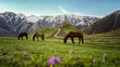 horses standing on a green meadow in the mountains of Kazbegi on the background Trinity Church