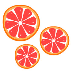 Canvas Print - Grapefruit slice, illustration, vector on white background.