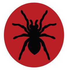 Sticker - Black spider, illustration, vector on white background.