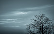 © Artinun - Silhouette dead tree on dark dramatic sky and white clouds background for death and peace. Halloween day background. Despair and hopeless concept. Sad of nature. Death and sad emotion background.