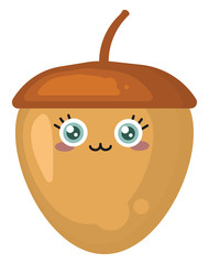 Wall Mural - Cute nut, illustration, vector on white background.