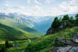 © Daniil - Beautiful alpine landscape with small conifer trees on rock on background of giant mountains and green forest valley with alpine lake and river. Awesome view to vast expanses. Vivid highland  scenery.