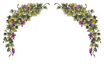 Wall Mural - Grapes illustration frame 12-03