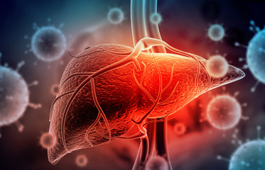 Sticker - Hepatitis virus with human liver. 3d illustration.