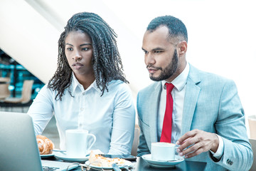 Wall Mural - Exited diverse business colleagues watching presentation on laptop. Business man and woman sitting in cafe, drinking coffee, eating, looking at computer screen. Coffee break concept