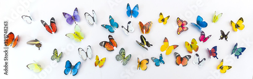 Photo of decorative butterflies pattern isolated on white background with cop...