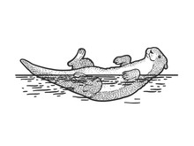 Otters Free Stock Photo - Public Domain Pictures