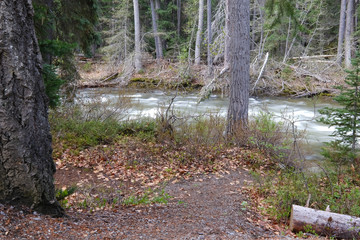 Narrow river in the forest with leaves in the foreground, long exposure, manning park, canada