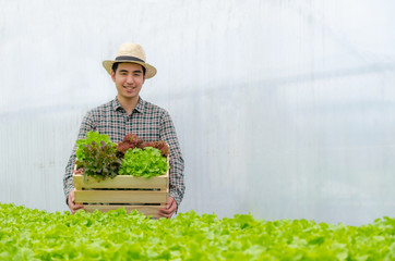 asian young friendly man farmer smiling and holding organic hydroponic fresh green vegetables produce wooden box together in greenhouse garden nursery farm, business farmer and healthy food concept