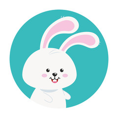 Sticker - cute rabbit animal in frame circular vector illustration design