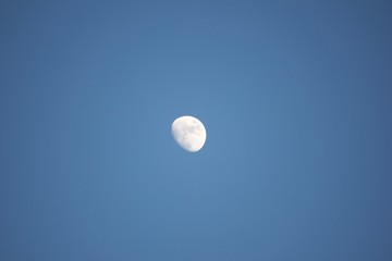 Wall Mural - Moon