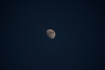 Wall Mural - Moon