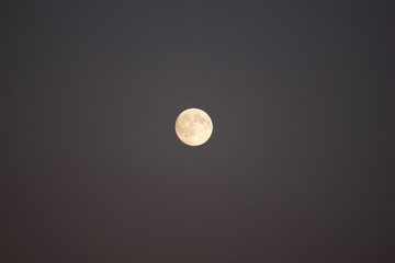 Wall Mural - Moon
