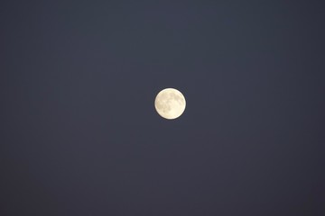 Wall Mural - Moon Purple sky