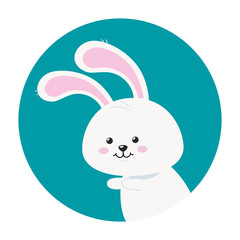 Sticker - cute rabbit animal in frame circular vector illustration design